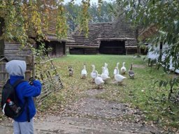 56048365512797270039552456780767796668253416n